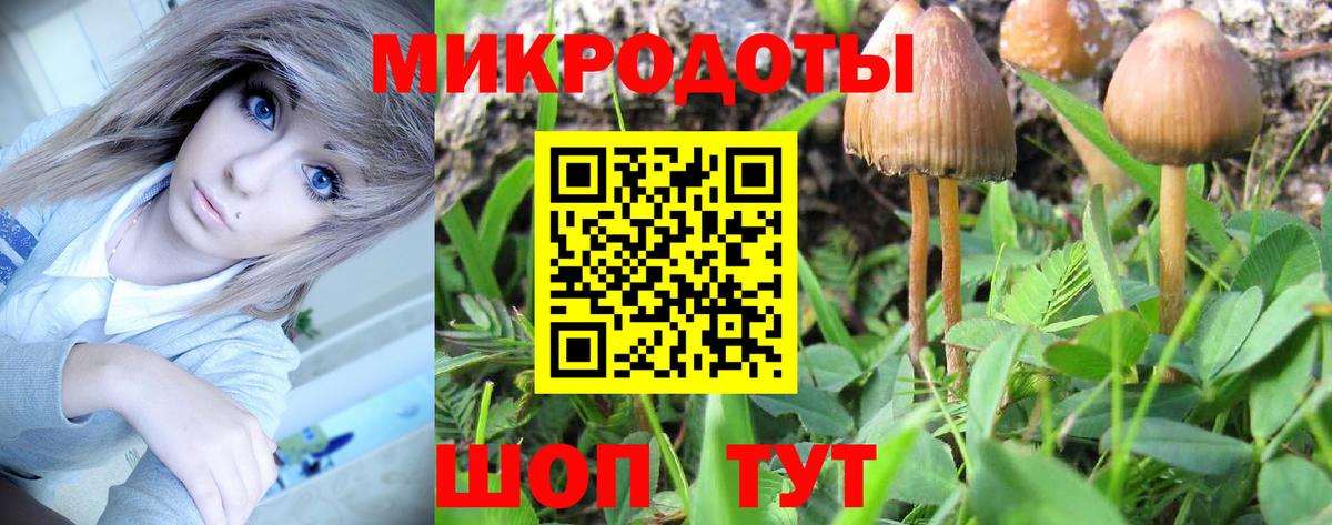 Галлюциногенные грибы мухоморы Нефтекамск
